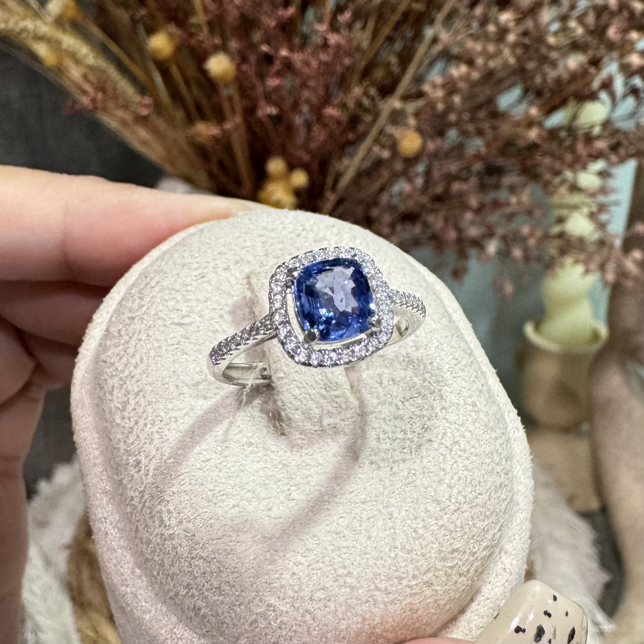 image_549BC316-A72B-4454-BF71-F28D6FEBFDB1_1763276418