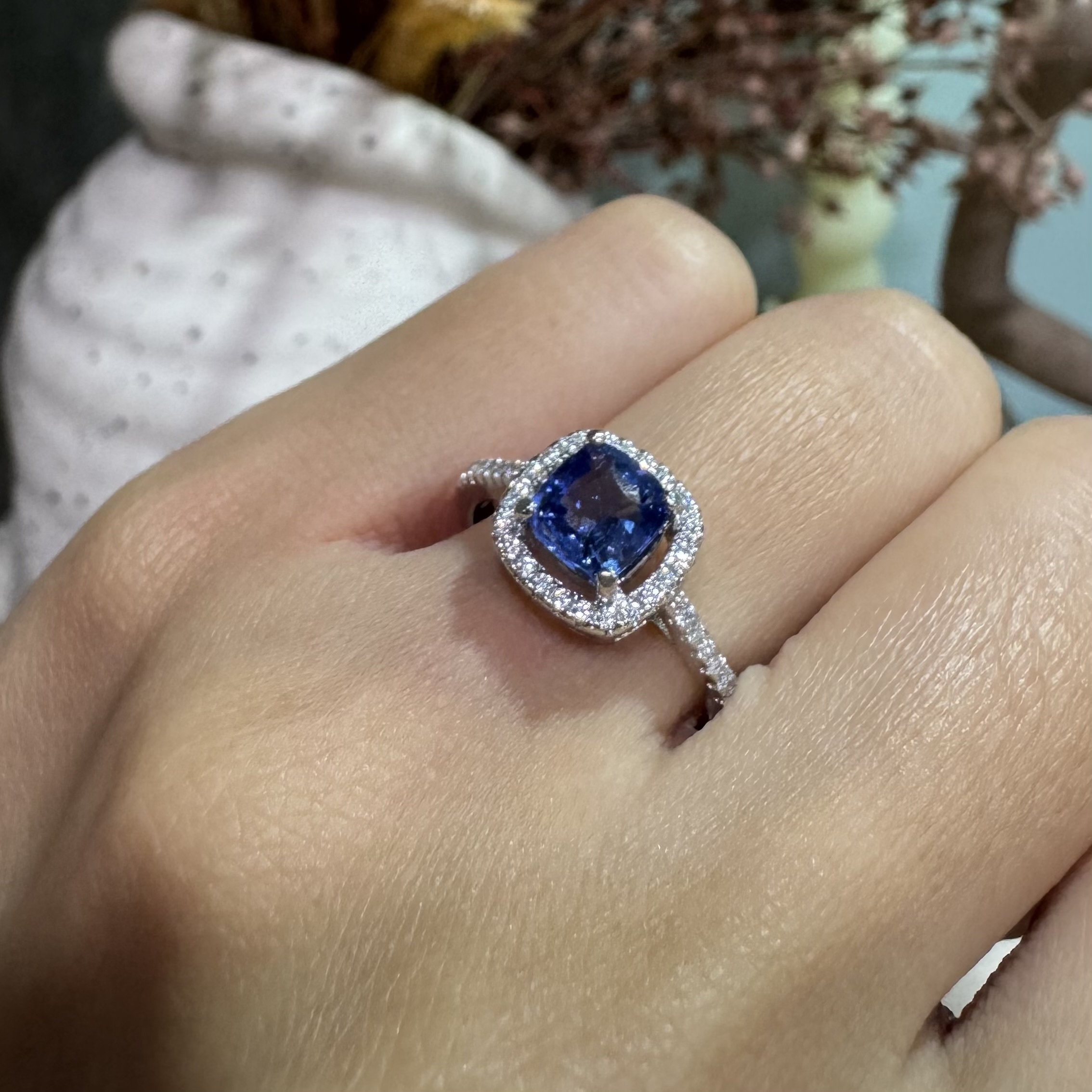 image_500B8117-42AF-4787-9034-4F05F6C24EAD_1763276419