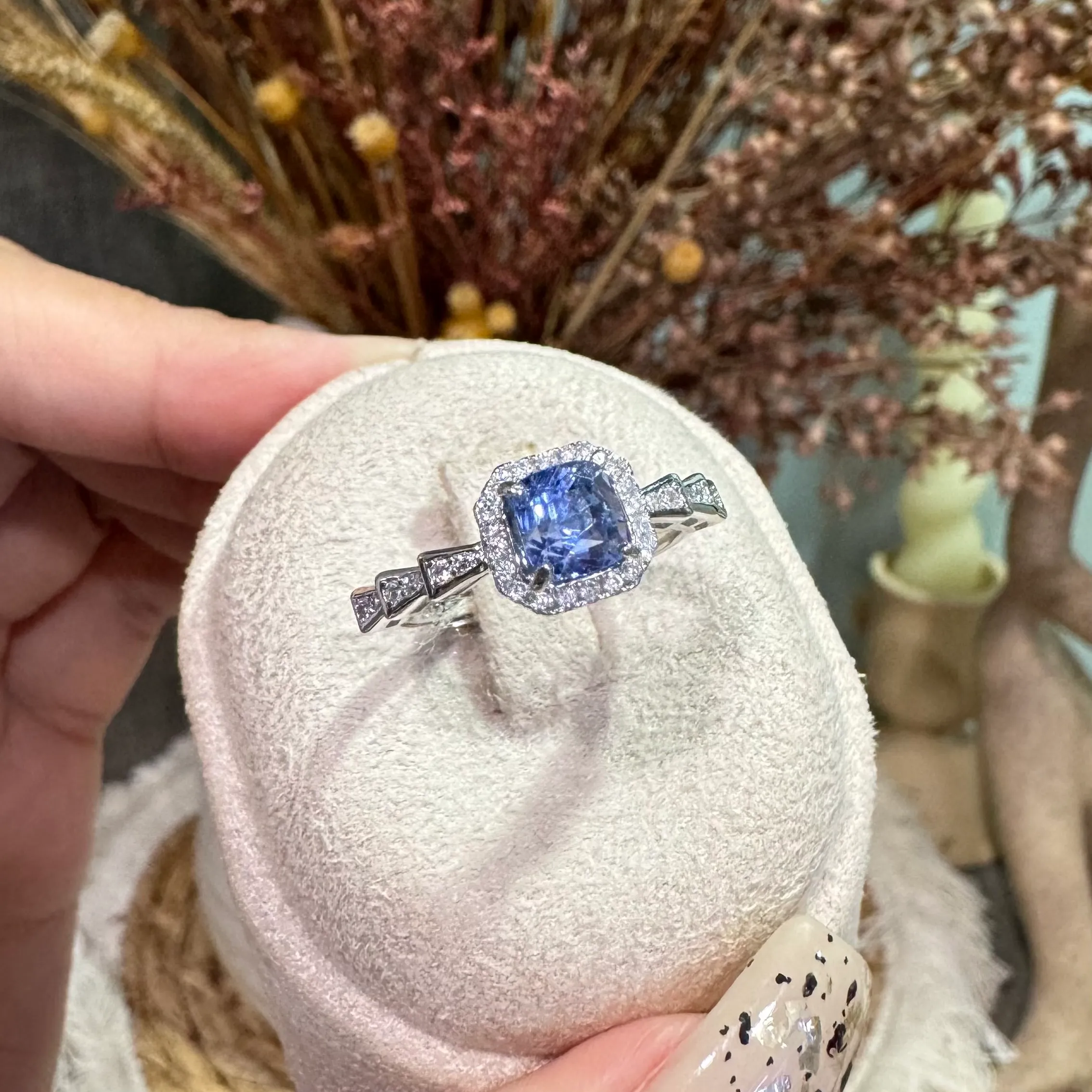 image_D3A28E62-85D5-449C-9312-15AD99D016BE_1763276628