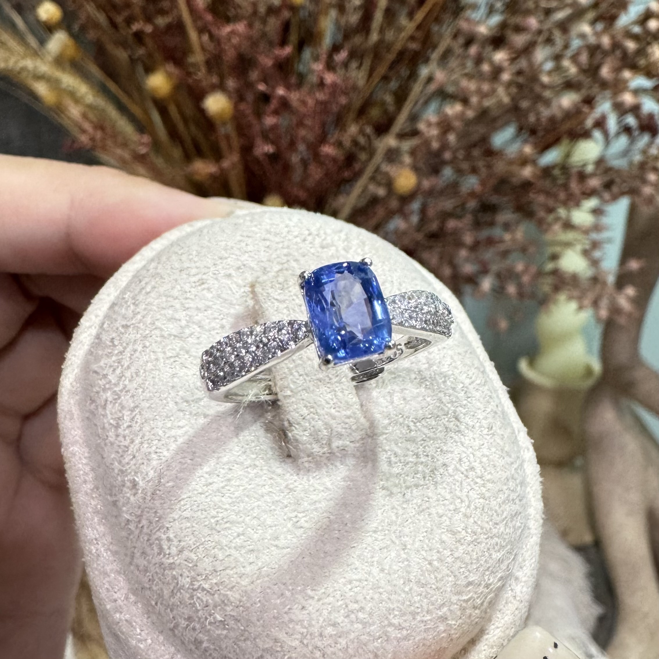 image_D4B56FDA-2E3B-45D6-9D2E-013ACB77EE07_1763276826