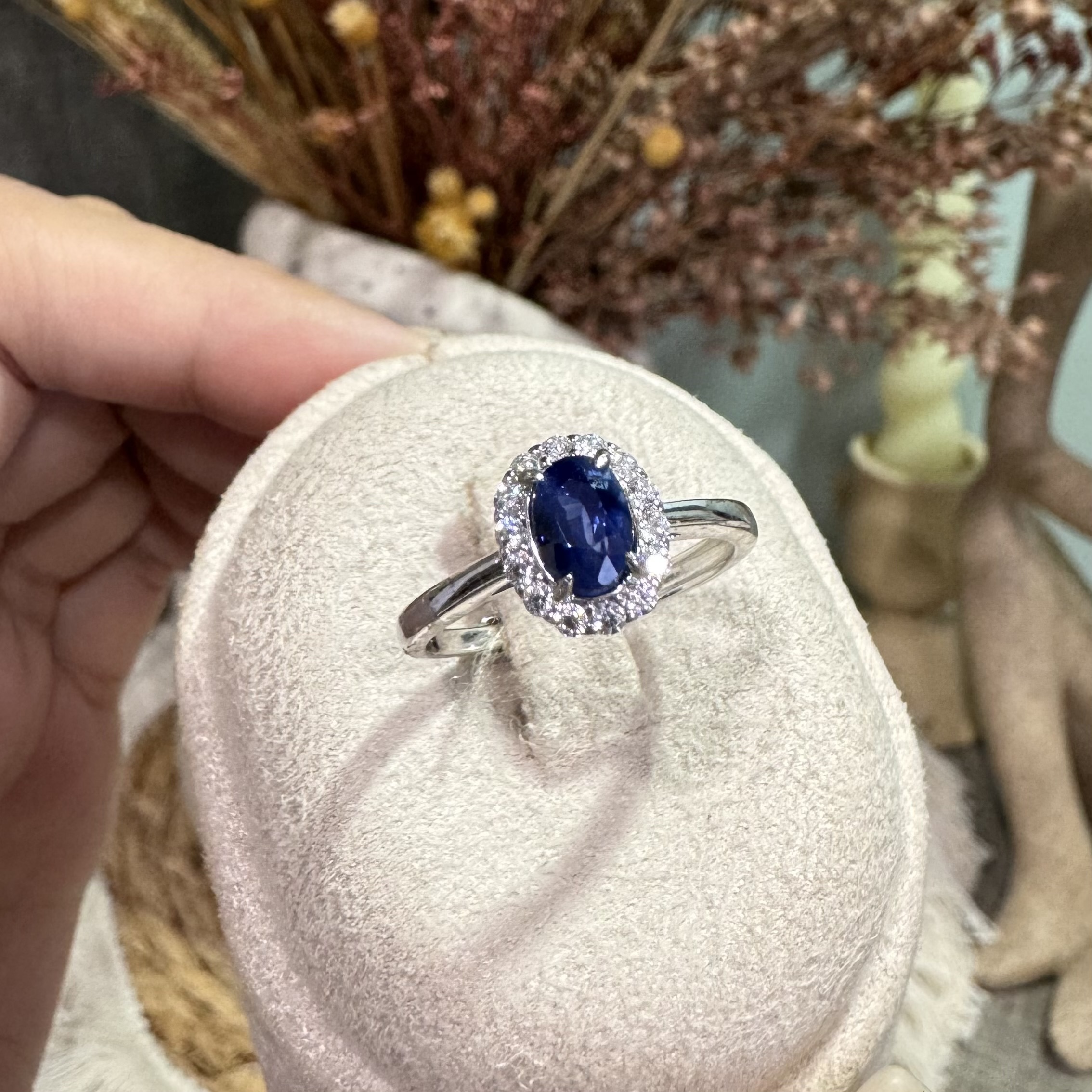 image_9ED84520-C1FD-46EA-9F44-1E208E1EA835_1763277841