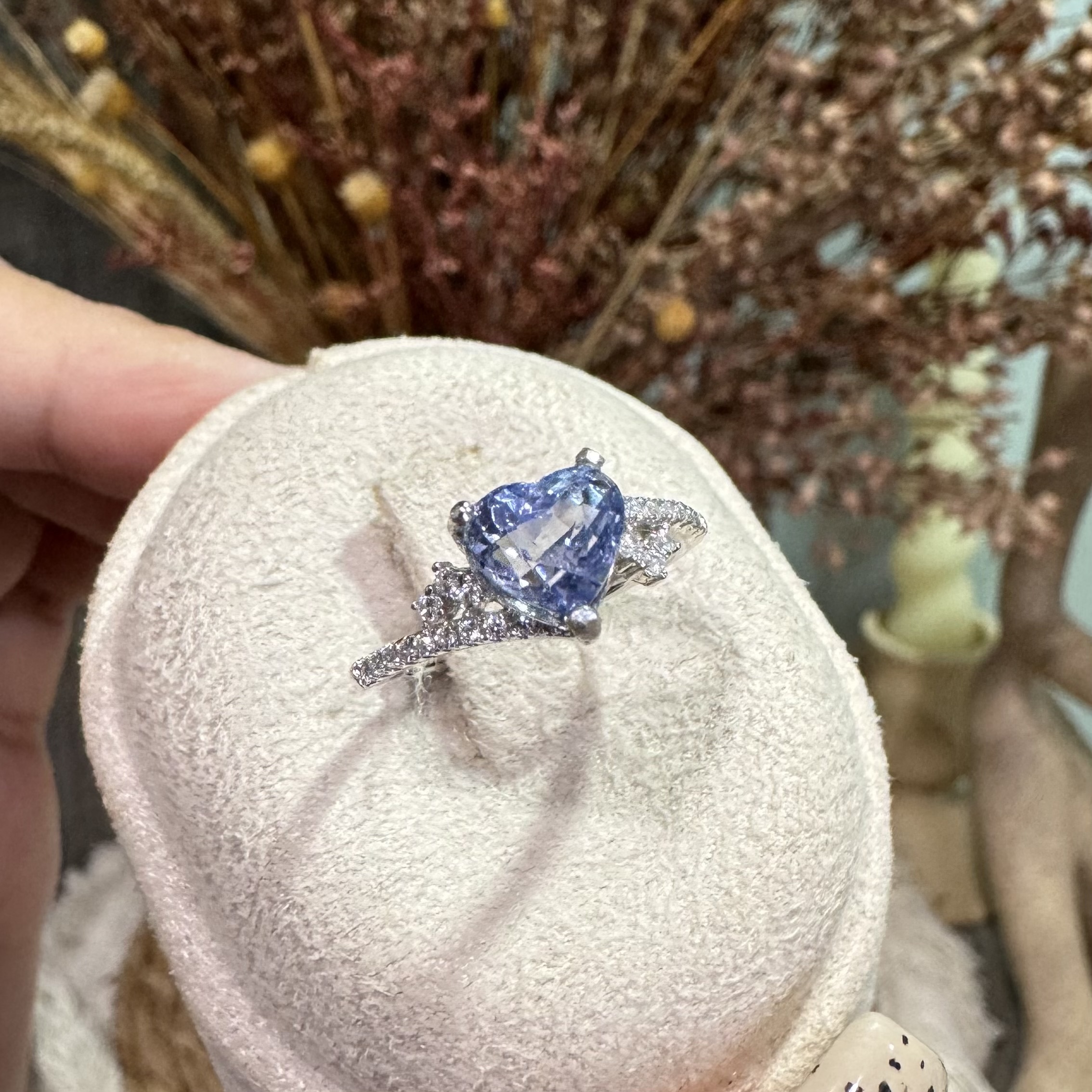 image_E9F67944-49E0-4FA8-AA7C-E403C34E72E5_1763280870