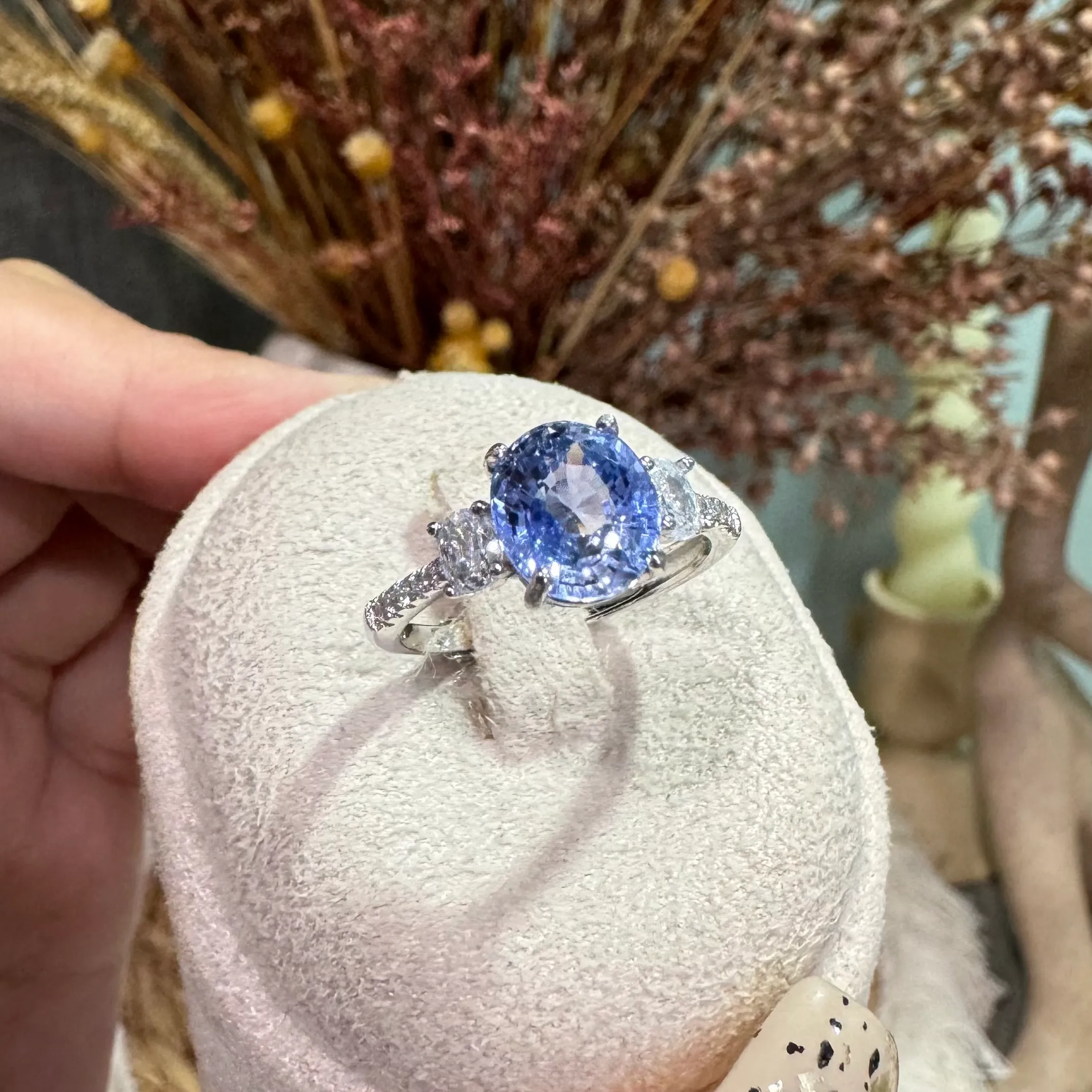 image_D5691B22-BBF3-4AE9-A2C9-1A9D1B8F917B_1763281214