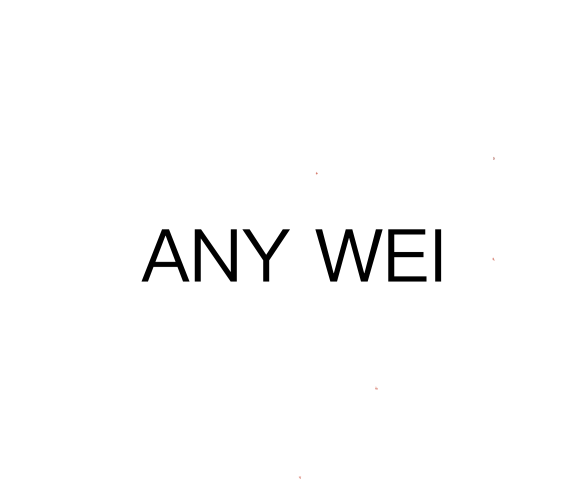 ANY WEI