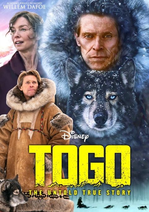 a3958e43-ba01-4534-bdf1-6539e39f52e0