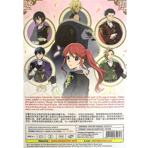 GORILLA NO KAMI KARA KAGO 2_png