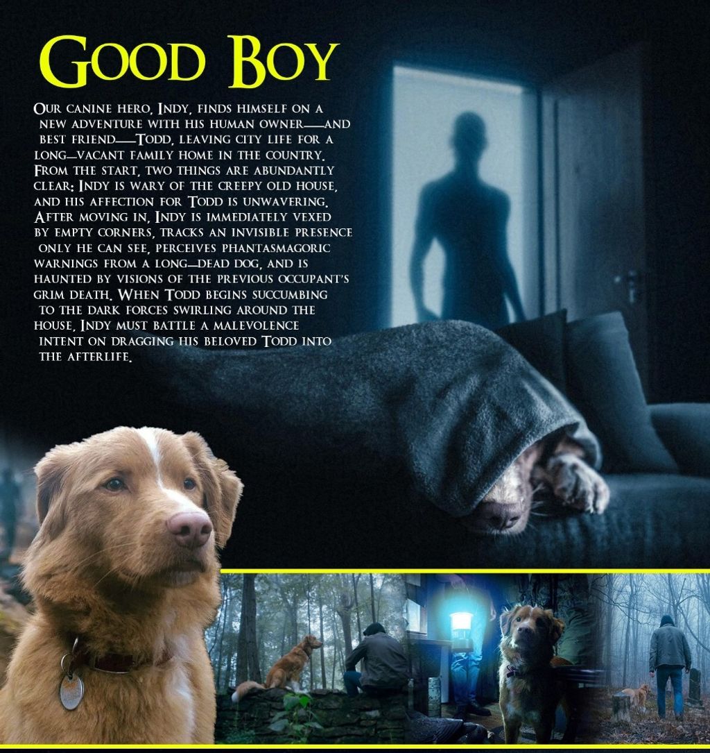 a6f971e8-0bfa-4461-9826-0ce815fb1804