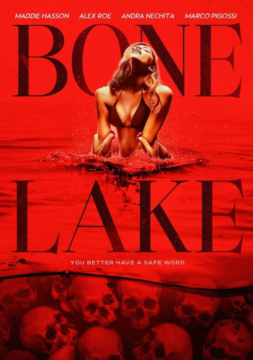 241ae381-e37c-4bdc-8f63-34e701ed4ee4