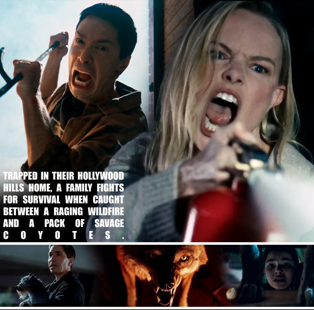 c3ff5db5-97aa-4e80-80cf-5c8259de8025