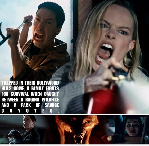 c3ff5db5-97aa-4e80-80cf-5c8259de8025