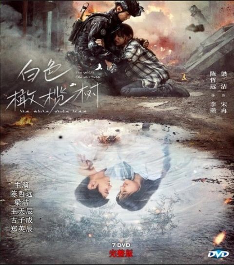 e554a3ca-44c6-4521-9e4e-1dbe86e2bf98