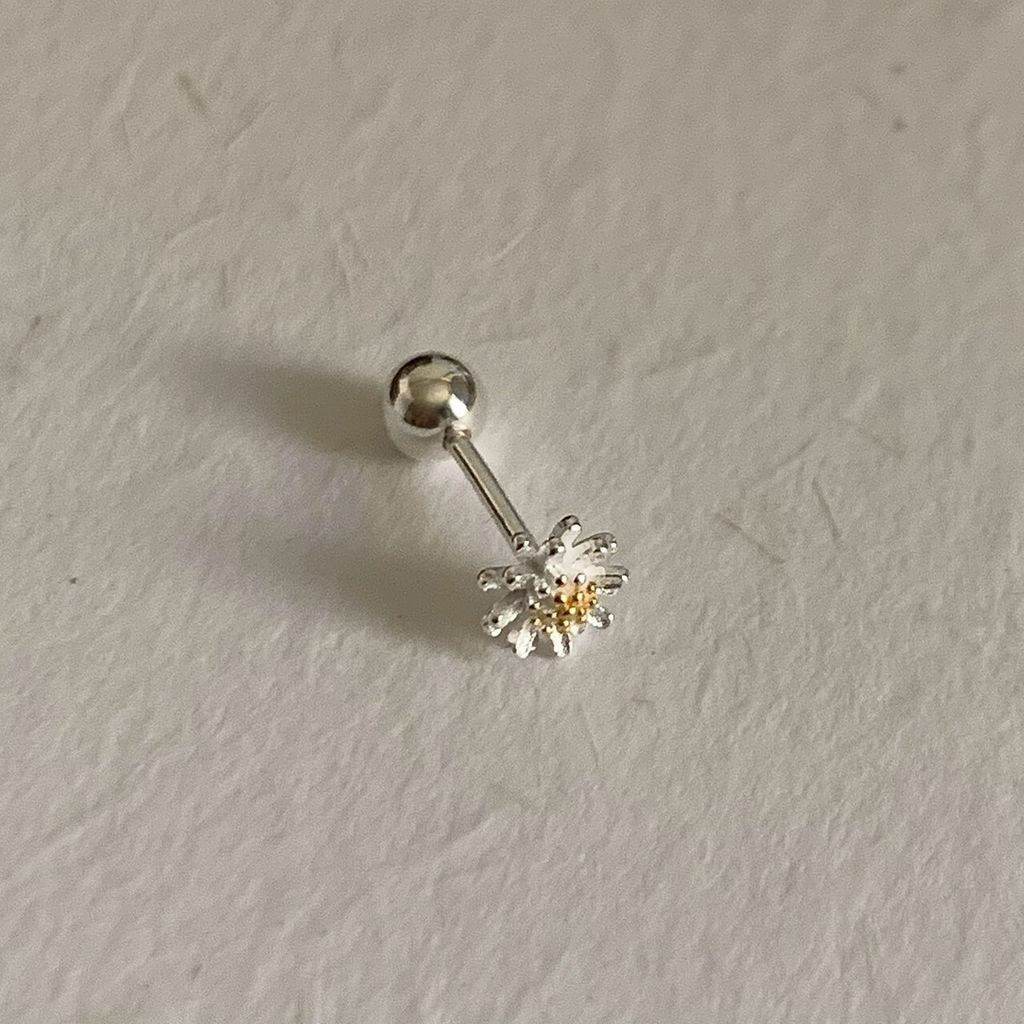 LINE_ALBUM_20251225_260303_15