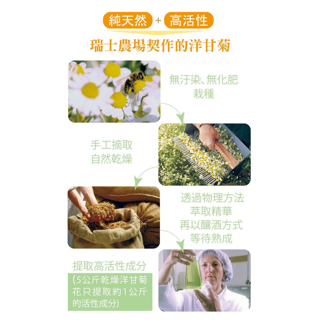 1572Rausch洋甘菊洗髮精 產品簡介3