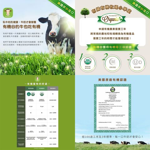 2385～2387意象照-合