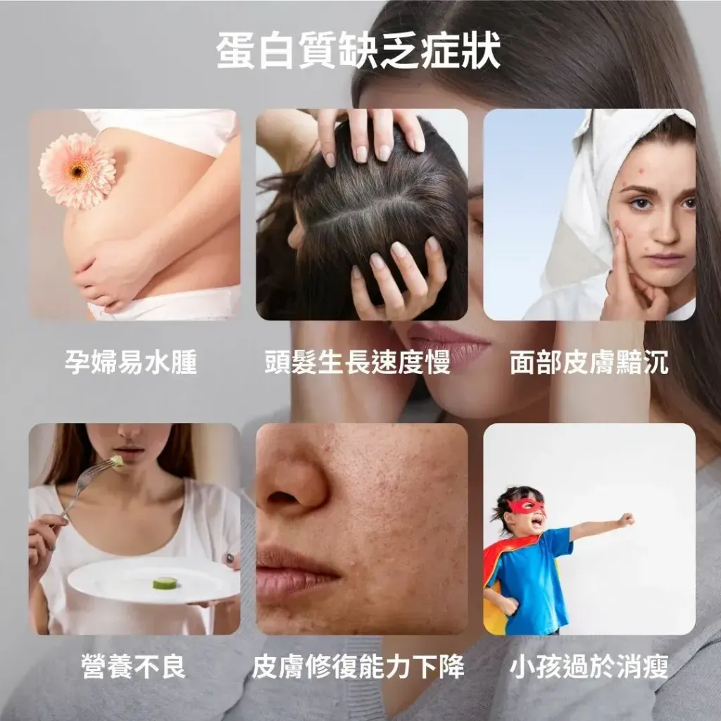 2592有機濃縮乳清蛋白粉8