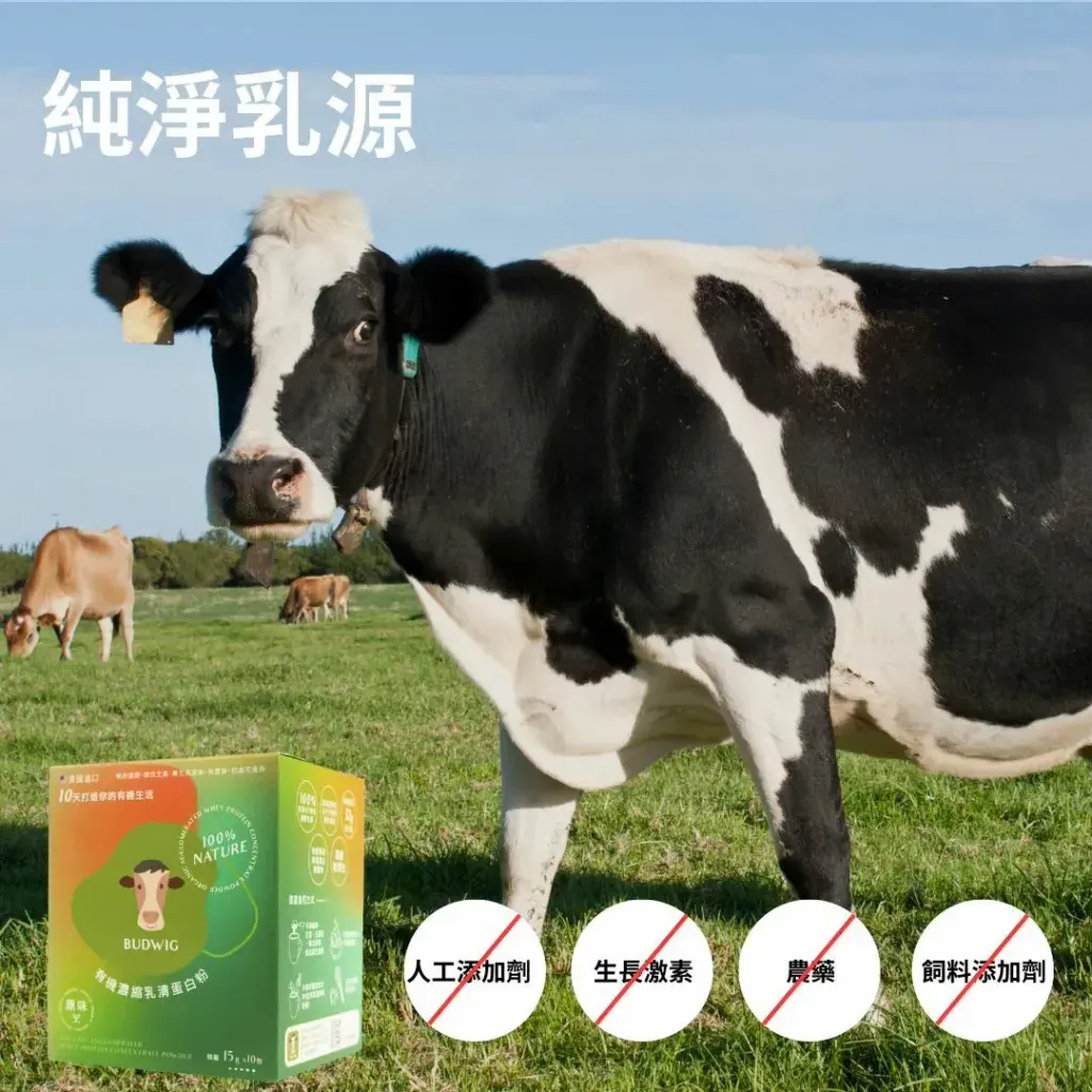 2592有機濃縮乳清蛋白粉6