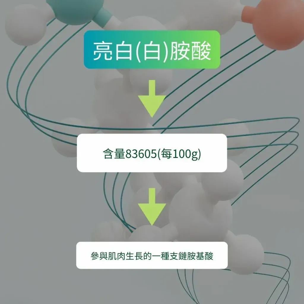 2592有機濃縮乳清蛋白粉11