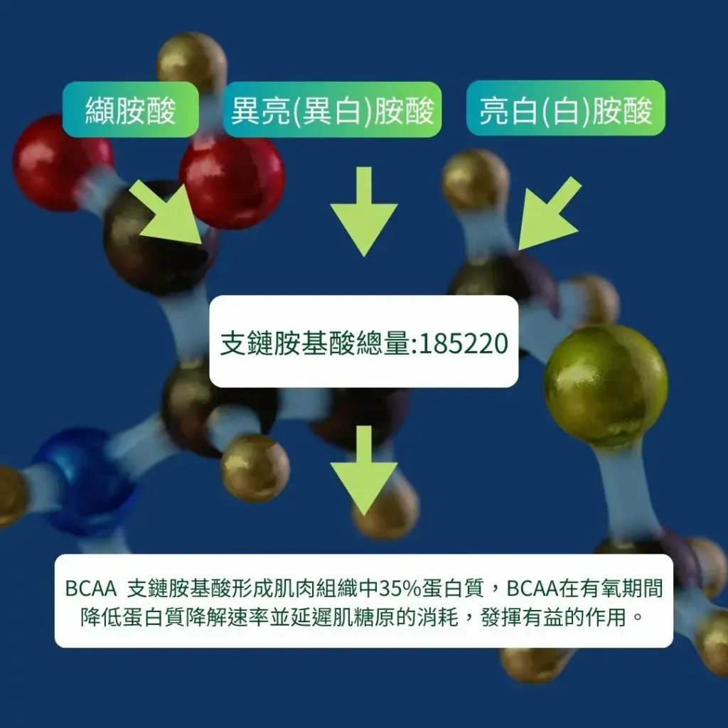 2592有機濃縮乳清蛋白粉12