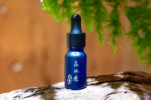 2501森林癒 意象照18_20250528