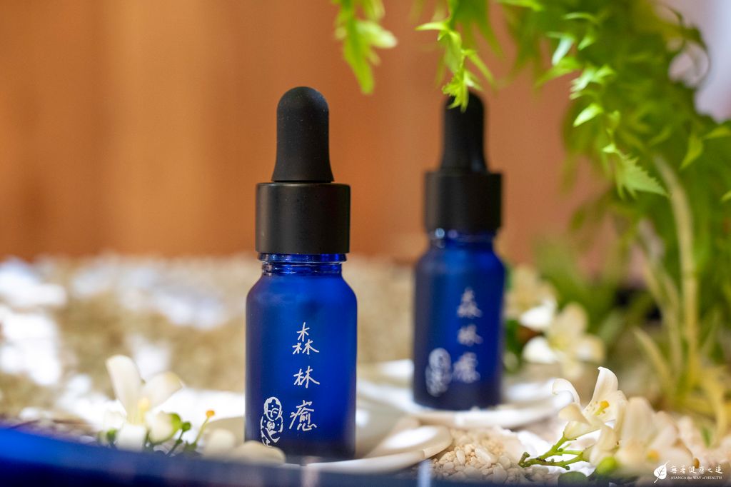 2501森林癒 意象照7_20250528
