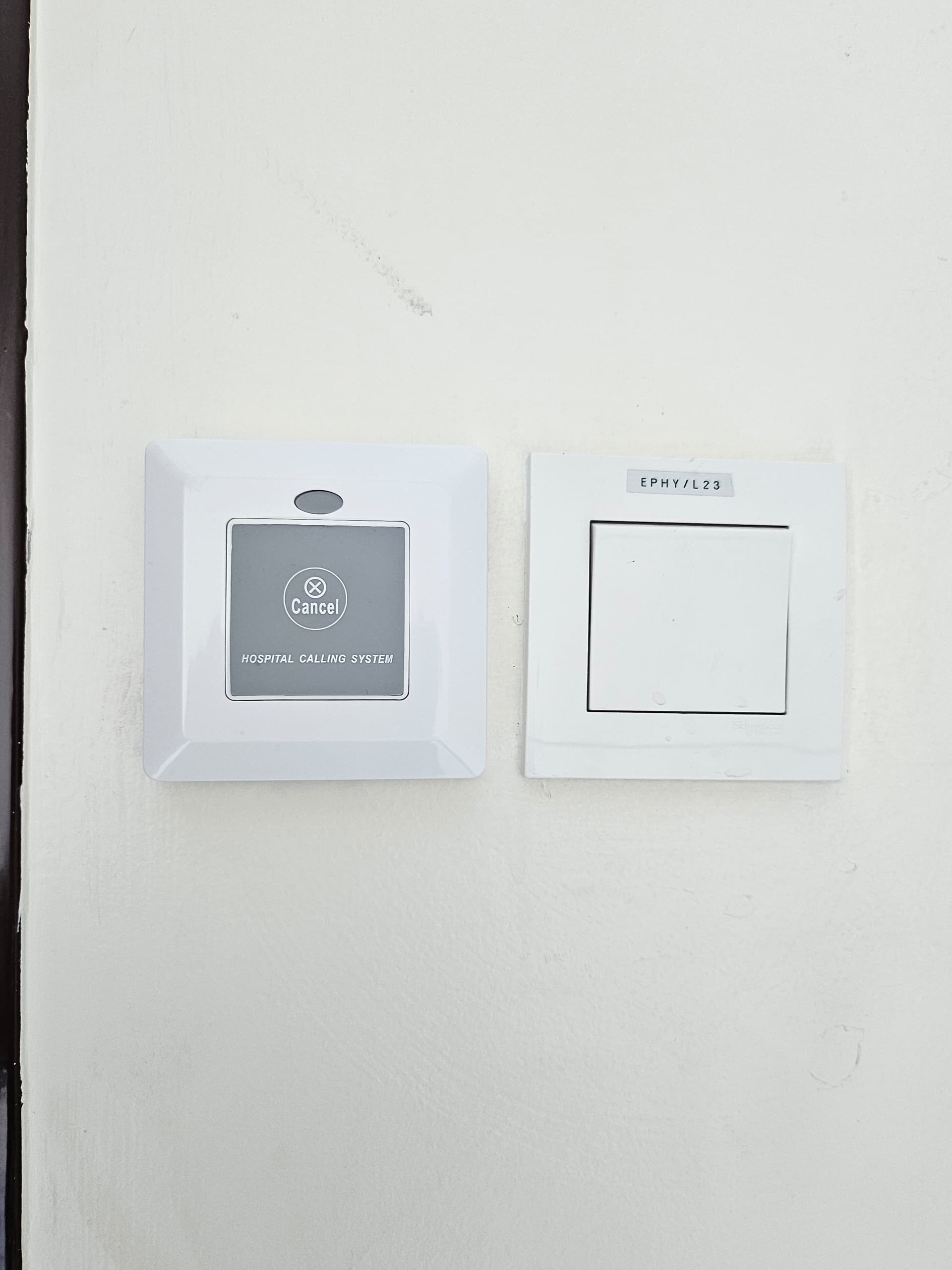 WhatsApp Image 2025-06-25 at 1.05.21 PM