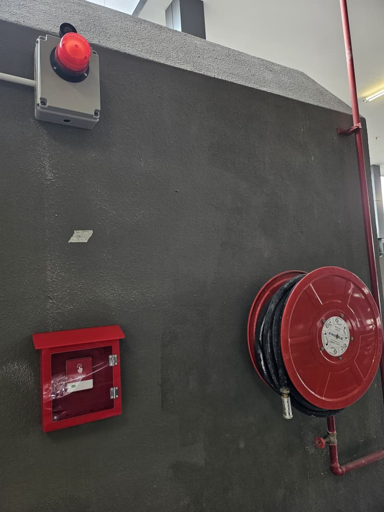 WhatsApp Image 2025-08-19 at 12.59.52 PM