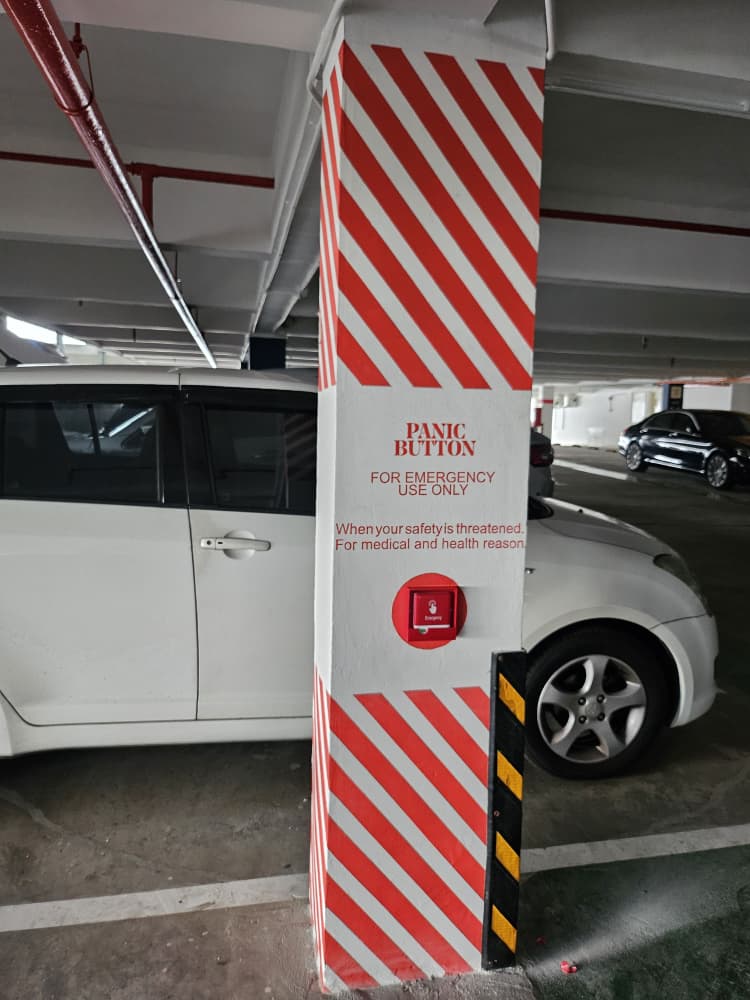 WhatsApp Image 2025-08-19 at 12.59.58 PM