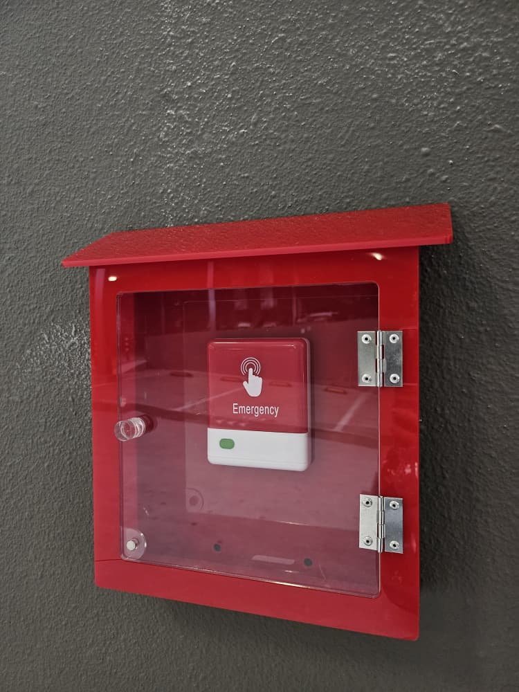 WhatsApp Image 2025-08-19 at 12.59.53 PM