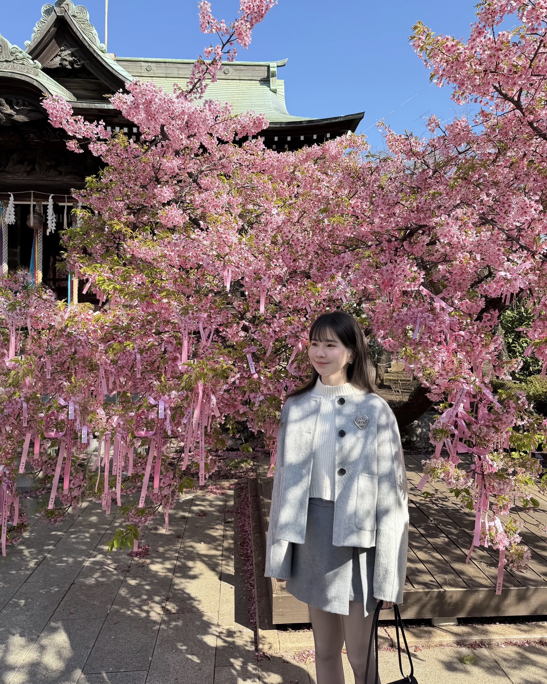 image_51B67599-CC5D-4149-B603-5D06D3303CBF_1774033251