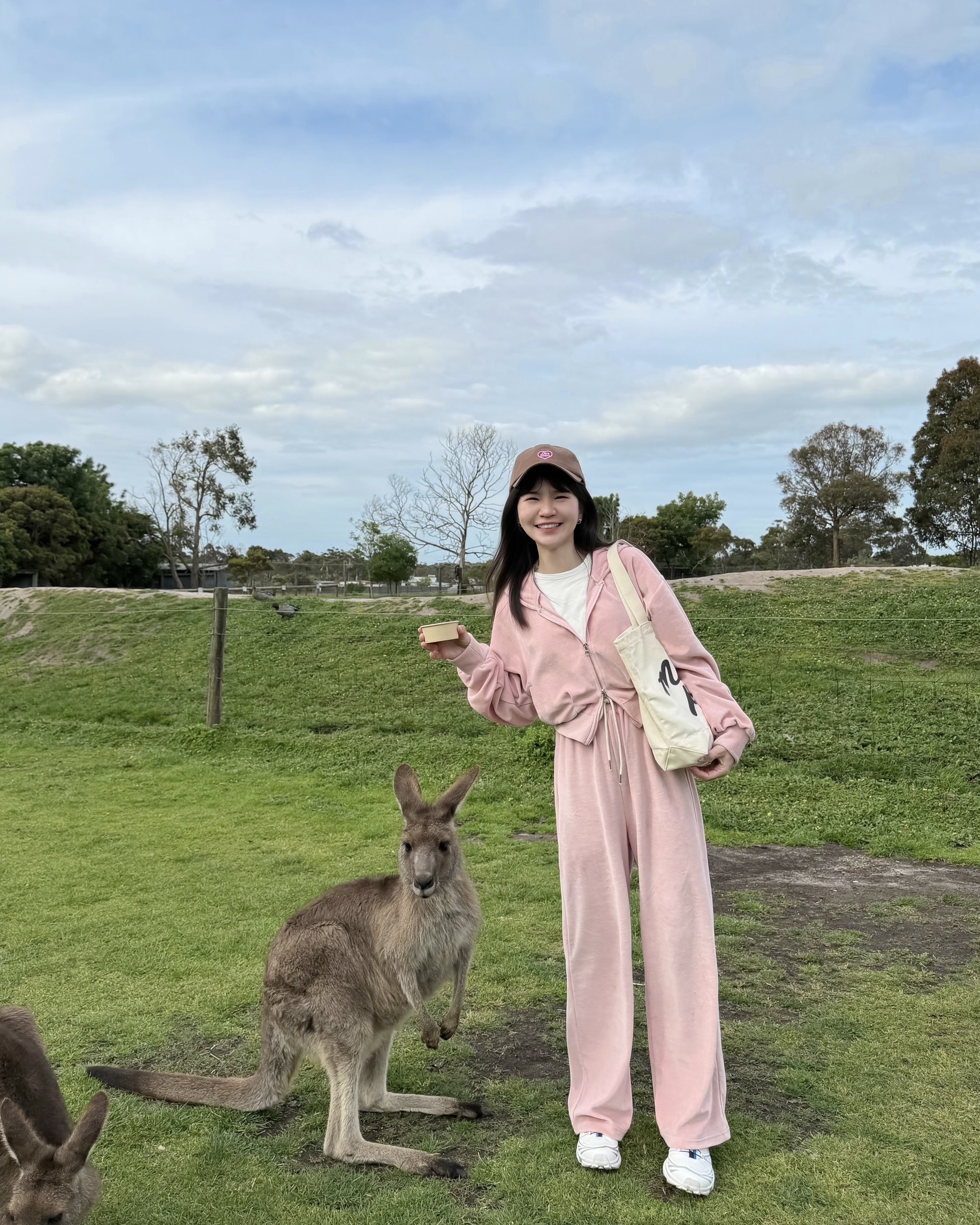 image_BCCD3D1B-A60E-4000-8625-BAB68712EC8A_1762787272