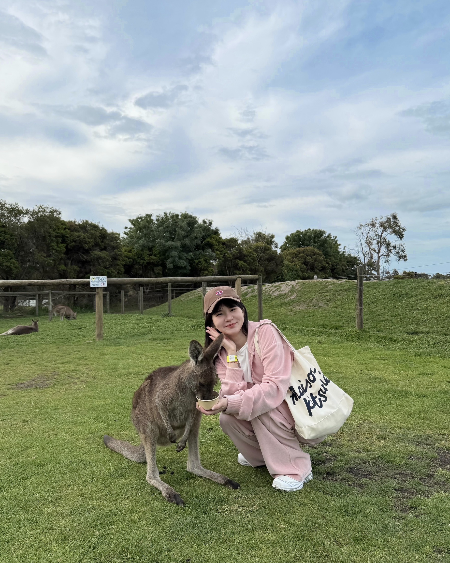 image_E60C0695-4990-4A95-89FF-91EA778E2379_1762787272