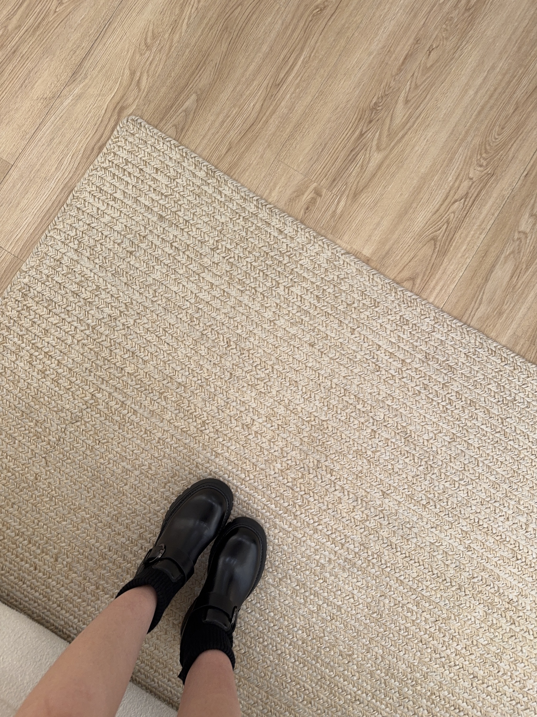 image_C42D041E-3EA7-43E2-B2C0-411442D01CD9_1767374559