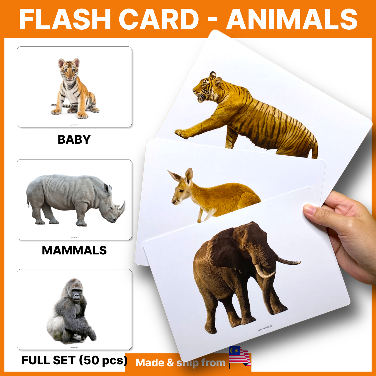 All Collections of Flash Cards – Learn With CC