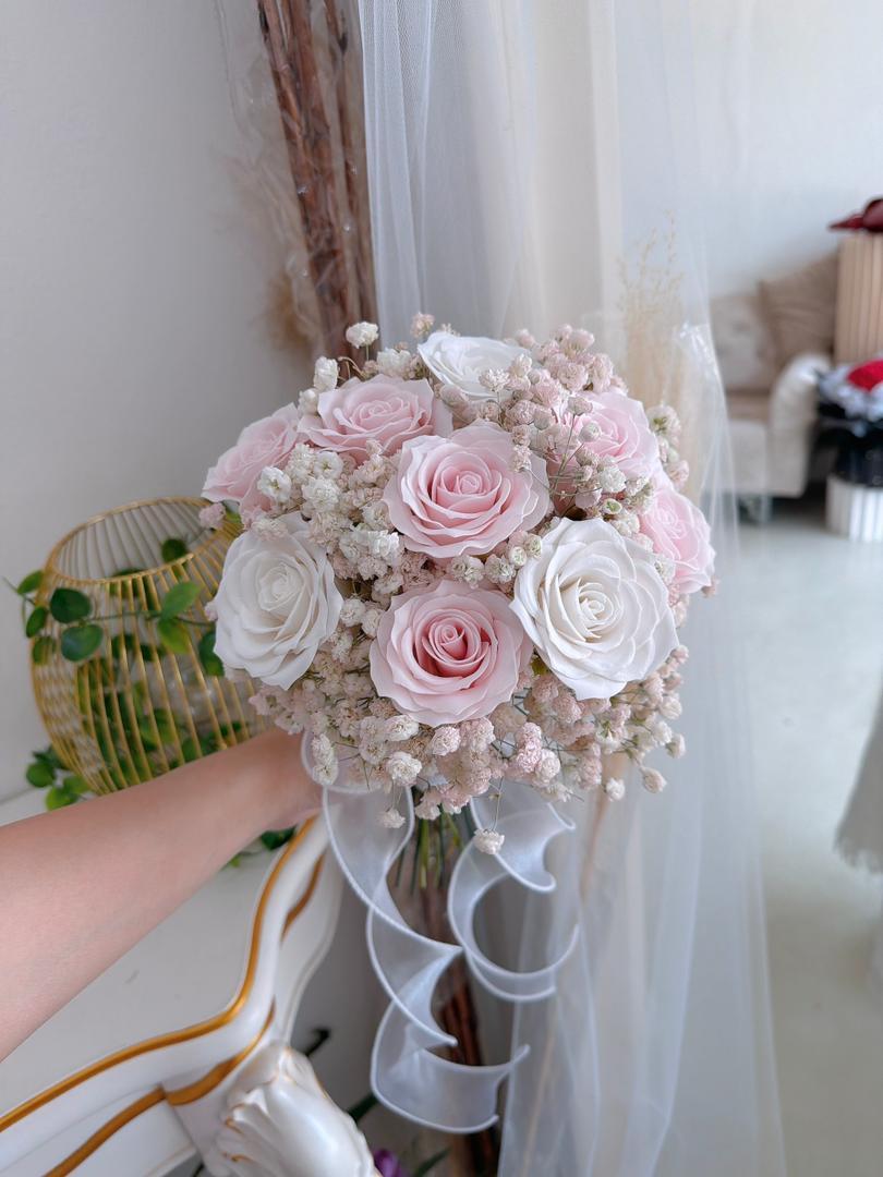 WhatsApp Image 2026-03-25 at 1.43.45 PM (1)