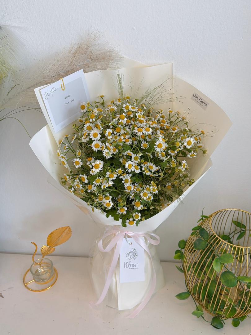 WhatsApp Image 2026-04-11 at 1.36.53 PM