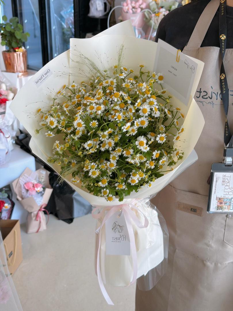 WhatsApp Image 2026-04-11 at 1.36.53 PM (1)