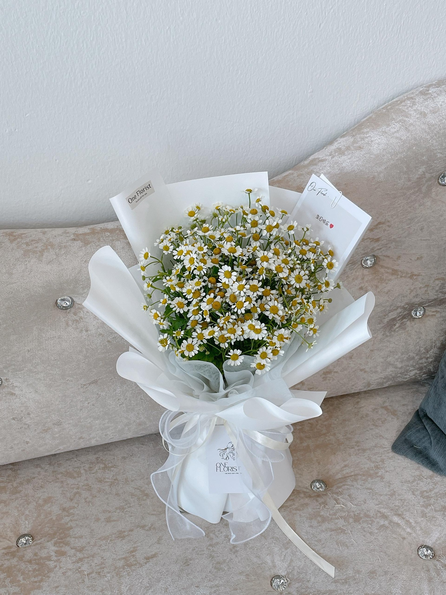 image_789CC73C-DF56-4716-AD9F-DC76CCE18E45_1754904288