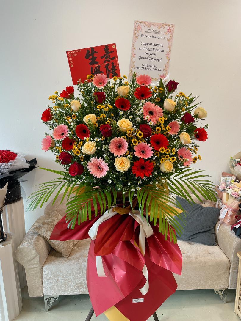 WhatsApp Image 2025-08-07 at 18.53.45