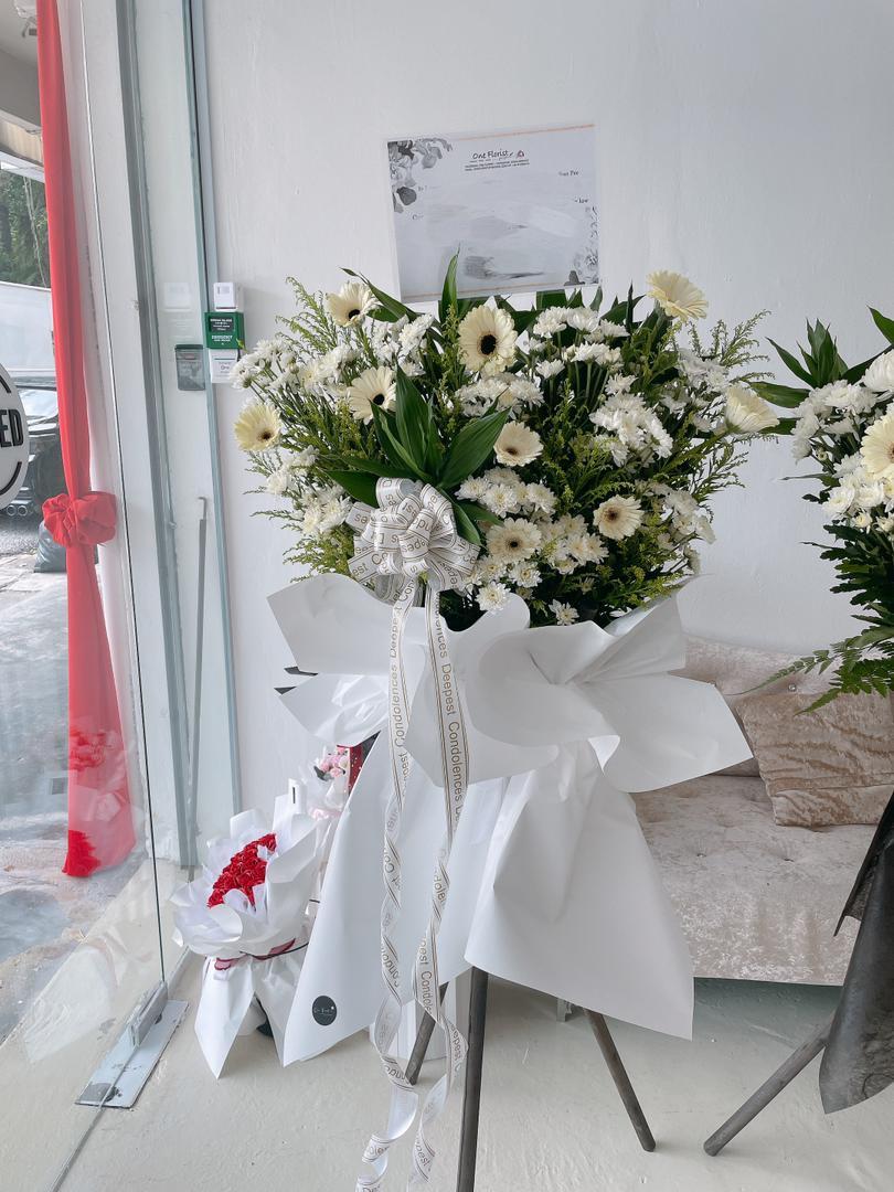 WhatsApp Image 2025-09-12 at 15.03.17