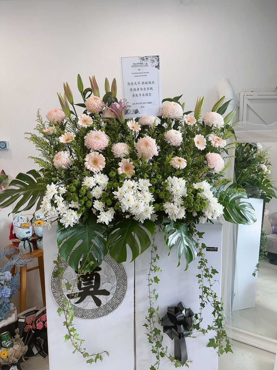 WhatsApp Image 2025-06-26 at 14.39.04