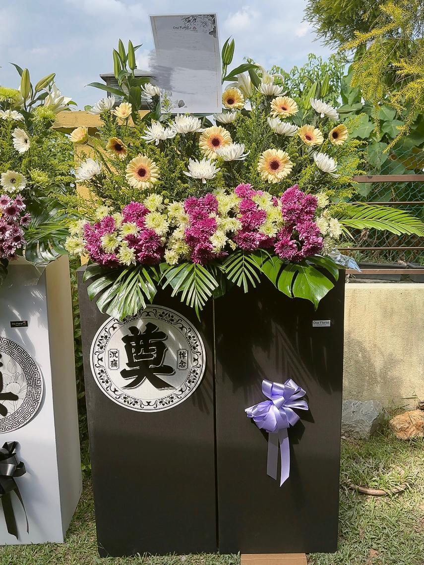 WhatsApp Image 2025-09-12 at 15.03.16