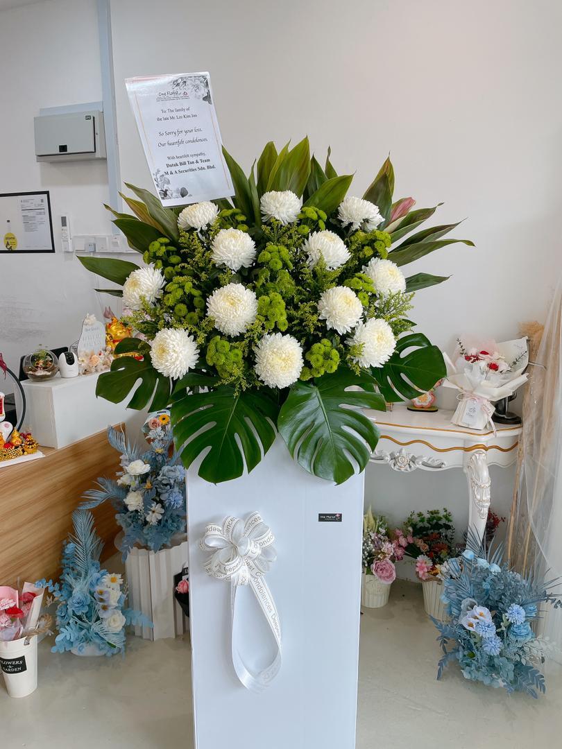 WhatsApp Image 2025-09-17 at 11.44.44