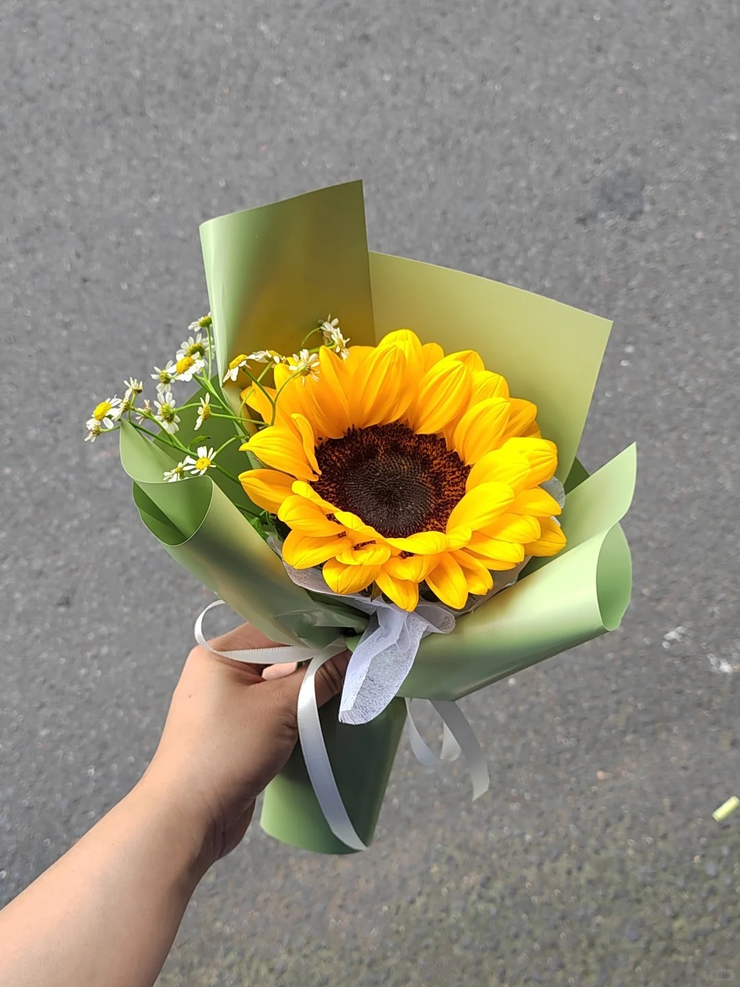 教师节花礼|单枝向日葵花束合集🌻_2_南墙的南墙花开_来自小红书网页版