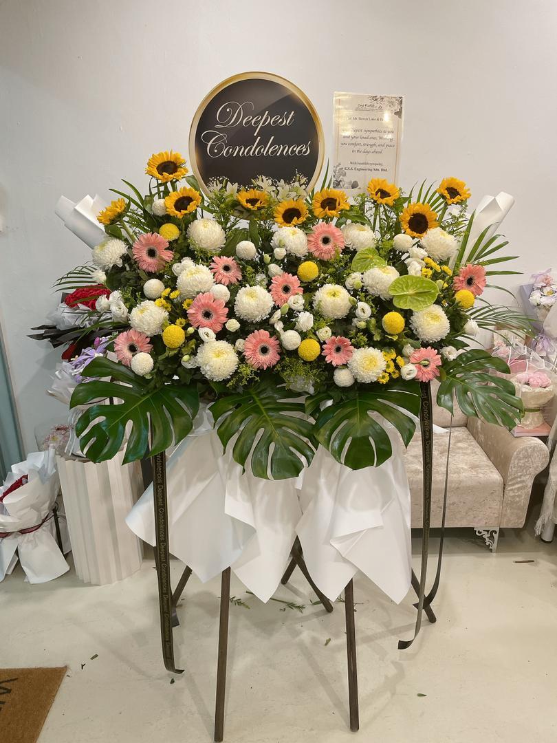 WhatsApp Image 2025-10-16 at 8.26.28 PM