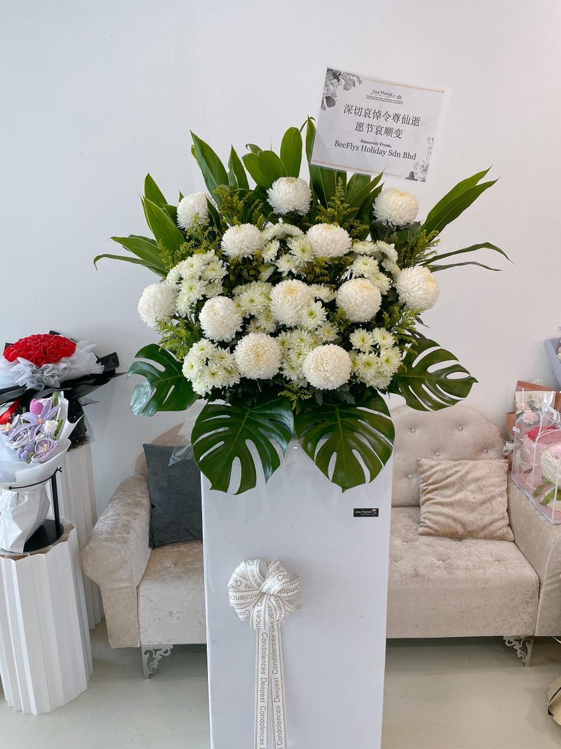 WhatsApp Image 2025-10-17 at 3.06.55 PM (1)