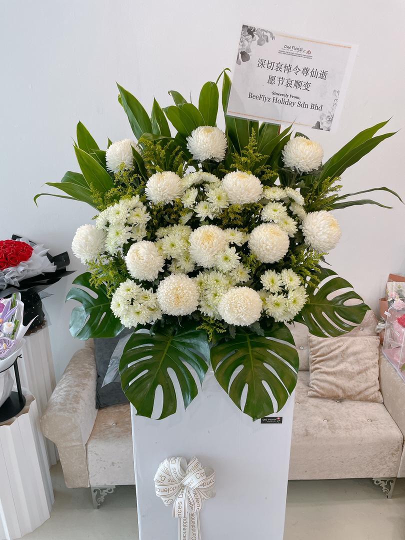 WhatsApp Image 2025-10-17 at 3.06.55 PM