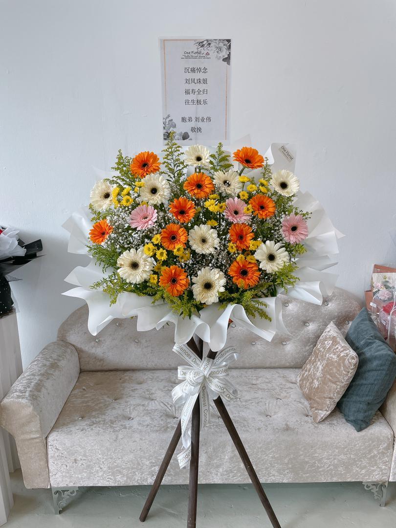 WhatsApp Image 2025-10-23 at 3.06.33 PM (3)