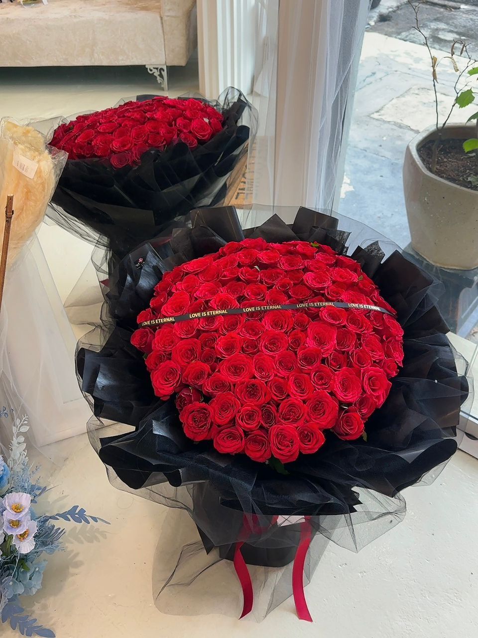 WhatsApp Image 2025-11-13 at 3.54.41 PM