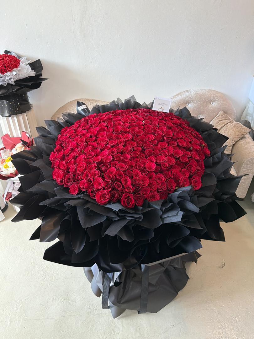 WhatsApp Image 2025-12-29 at 2.57.16 PM (1)