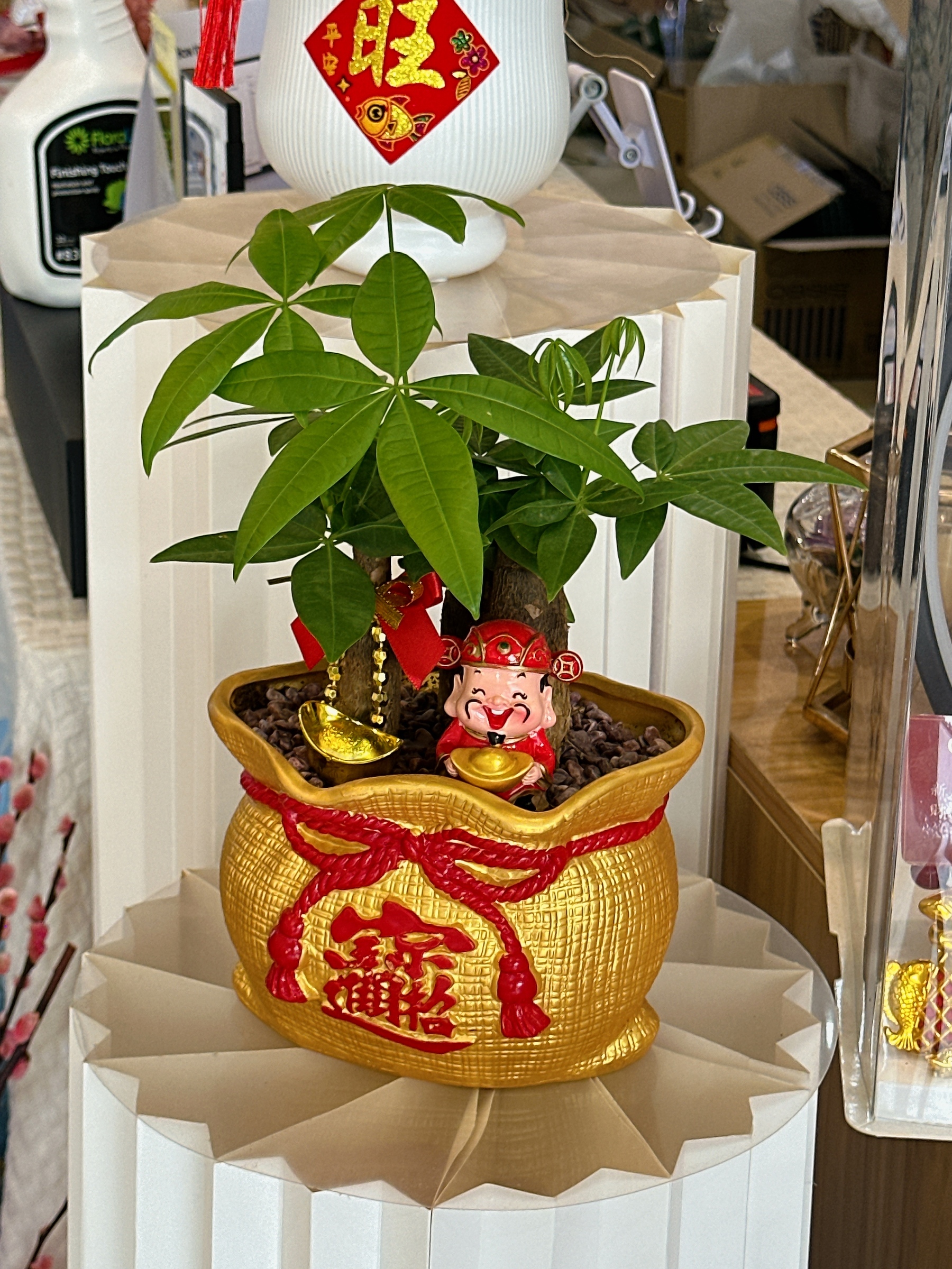 image_2845203E-C797-4706-8CB8-91B8340BF6F6_1768975490